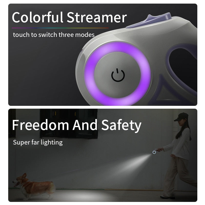 Walking Safety Light